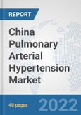 China Pulmonary Arterial Hypertension Market: Prospects, Trends Analysis, Market Size and Forecasts up to 2027- Product Image