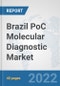 Brazil PoC Molecular Diagnostic Market: Prospects, Trends Analysis, Market Size and Forecasts up to 2027 - Product Thumbnail Image