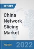 China Network Slicing Market: Prospects, Trends Analysis, Market Size and Forecasts up to 2027- Product Image