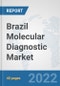 Brazil Molecular Diagnostic Market: Prospects, Trends Analysis, Market Size and Forecasts up to 2027 - Product Thumbnail Image
