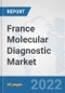 France Molecular Diagnostic Market: Prospects, Trends Analysis, Market Size and Forecasts up to 2027 - Product Thumbnail Image