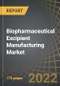 Biopharmaceutical Excipient Manufacturing Market by Type of Biologics, Type of Excipient, Scale of Operation and Key Geographies: Industry Trends and Global Forecasts, 2022-2035 - Product Image