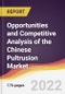 Opportunities and Competitive Analysis of the Chinese Pultrusion Market - Product Image