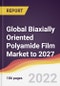 Global Biaxially Oriented Polyamide (BOPA) Film Market to 2027: Trends, Forecast and Competitive Analysis - Product Thumbnail Image