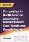 Composites In North America Automotive Market: Market Size, Trends and Growth Analysis - Product Image