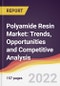 Polyamide Resin Market: Trends, Opportunities and Competitive Analysis - Product Image