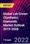 Global Lab Grown (Synthetic) Diamonds Market Outlook 2019-2028 - Product Thumbnail Image