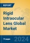 Rigid Intraocular Lens Global Market Insights 2024, Analysis and Forecast to 2029, by Manufacturers, Regions, Technology, Application, Product Type - Product Thumbnail Image