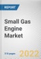 Small Gas Engine Market by Engine Displacement, by Equipment and by Application: Global Opportunity Analysis and Industry Forecast, 2021-2030 - Product Image