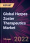 Global Herpes Zoster Therapeutics Market 2022-2026 - Product Thumbnail Image