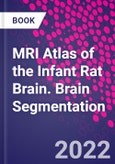 MRI Atlas of the Infant Rat Brain. Brain Segmentation- Product Image