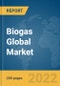 Biogas Global Market Report 2022, By Source, Application, End User - Product Image