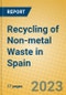 Recycling of Non-metal Waste in Spain - Product Image