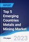 Top 5 Emerging Countries Metals and Mining - Market Summary, Competitive Analysis and Forecast, 2016-2025 - Product Thumbnail Image