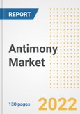 Antimony Market Outlook and Trends to 2028- Next wave of Growth Opportunities, Market Sizes, Shares, Types, and Applications, Countries, and Companies- Product Image
