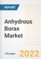 Anhydrous Borax Market Outlook and Trends to 2028- Next wave of Growth Opportunities, Market Sizes, Shares, Types, and Applications, Countries, and Companies - Product Image