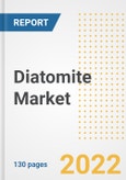 Diatomite Market Outlook and Trends to 2028- Next wave of Growth Opportunities, Market Sizes, Shares, Types, and Applications, Countries, and Companies- Product Image