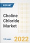 Choline Chloride Market Outlook and Trends to 2028- Next wave of Growth Opportunities, Market Sizes, Shares, Types, and Applications, Countries, and Companies - Product Image