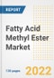 Fatty Acid Methyl Ester (FAME) Market Outlook and Trends to 2028- Next wave of Growth Opportunities, Market Sizes, Shares, Types, and Applications, Countries, and Companies - Product Image