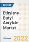 Ethylene Butyl Acrylate Market Outlook and Trends to 2028- Next wave of Growth Opportunities, Market Sizes, Shares, Types, and Applications, Countries, and Companies - Product Image