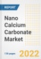 Nano Calcium Carbonate Market Outlook and Trends to 2028- Next wave of Growth Opportunities, Market Sizes, Shares, Types, and Applications, Countries, and Companies - Product Image