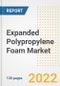 Expanded Polypropylene (EPP) Foam Market Outlook and Trends to 2028- Next wave of Growth Opportunities, Market Sizes, Shares, Types, and Applications, Countries, and Companies - Product Image