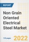 Non Grain Oriented Electrical Steel Market Outlook and Trends to 2028- Next wave of Growth Opportunities, Market Sizes, Shares, Types, and Applications, Countries, and Companies - Product Image