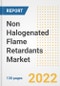 Non Halogenated Flame Retardants Market Outlook and Trends to 2028- Next wave of Growth Opportunities, Market Sizes, Shares, Types, and Applications, Countries, and Companies - Product Image