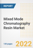 Mixed Mode Chromatography Resin Market Outlook and Trends to 2028- Next wave of Growth Opportunities, Market Sizes, Shares, Types, and Applications, Countries, and Companies- Product Image