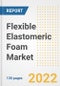 Flexible Elastomeric Foam Market Outlook and Trends to 2028- Next wave of Growth Opportunities, Market Sizes, Shares, Types, and Applications, Countries, and Companies - Product Image