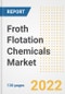 Froth Flotation Chemicals Market Outlook and Trends to 2028- Next wave of Growth Opportunities, Market Sizes, Shares, Types, and Applications, Countries, and Companies - Product Image