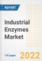 Industrial Enzymes Market Outlook and Trends to 2028- Next wave of Growth Opportunities, Market Sizes, Shares, Types, and Applications, Countries, and Companies - Product Image