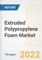 Extruded Polypropylene (XPP) Foam Market Outlook and Trends to 2028- Next wave of Growth Opportunities, Market Sizes, Shares, Types, and Applications, Countries, and Companies - Product Image