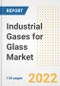 Industrial Gases for Glass Market Outlook and Trends to 2028- Next wave of Growth Opportunities, Market Sizes, Shares, Types, and Applications, Countries, and Companies - Product Image
