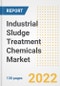 Industrial Sludge Treatment Chemicals Market Outlook and Trends to 2028- Next wave of Growth Opportunities, Market Sizes, Shares, Types, and Applications, Countries, and Companies - Product Image