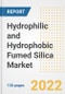 Hydrophilic and Hydrophobic Fumed Silica Market Outlook and Trends to 2028- Next wave of Growth Opportunities, Market Sizes, Shares, Types, and Applications, Countries, and Companies - Product Image