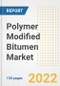 Polymer Modified Bitumen Market Outlook and Trends to 2028- Next wave of Growth Opportunities, Market Sizes, Shares, Types, and Applications, Countries, and Companies - Product Image