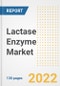 Lactase Enzyme Market Outlook and Trends to 2028- Next wave of Growth Opportunities, Market Sizes, Shares, Types, and Applications, Countries, and Companies - Product Image