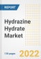 Hydrazine Hydrate Market Outlook and Trends to 2028- Next wave of Growth Opportunities, Market Sizes, Shares, Types, and Applications, Countries, and Companies - Product Image