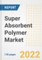 Super Absorbent Polymer (SAP) Market Outlook and Trends to 2028- Next wave of Growth Opportunities, Market Sizes, Shares, Types, and Applications, Countries, and Companies - Product Image