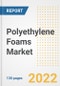 Polyethylene (PE) Foams Market Outlook and Trends to 2028- Next wave of Growth Opportunities, Market Sizes, Shares, Types, and Applications, Countries, and Companies - Product Image