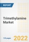 Trimethylamine Market Outlook and Trends to 2028- Next wave of Growth Opportunities, Market Sizes, Shares, Types, and Applications, Countries, and Companies - Product Image