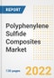 Polyphenylene Sulfide (PPS) Composites Market Outlook and Trends to 2028- Next wave of Growth Opportunities, Market Sizes, Shares, Types, and Applications, Countries, and Companies - Product Image