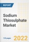 Sodium Thiosulphate Market Outlook and Trends to 2028- Next wave of Growth Opportunities, Market Sizes, Shares, Types, and Applications, Countries, and Companies - Product Image