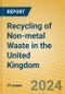 Recycling of Non-metal Waste in the United Kingdom: ISIC 372 - Product Image