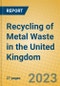 Recycling of Metal Waste in the United Kingdom: ISIC 371 - Product Thumbnail Image