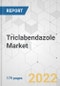 Triclabendazole Market - Global Industry Analysis, Size, Share, Growth, Trends, and Forecast, 2021-2031 - Product Image