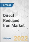 Direct Reduced Iron Market - Global Industry Analysis, Size, Share, Growth, Trends, and Forecast, 2021-2031- Product Image