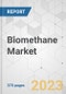 Biomethane Market - Global Industry Analysis, Size, Share, Growth, Trends, and Forecast, 2021-2031 - Product Image