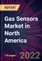 Gas Sensors Market in North America 2022-2026 - Product Image